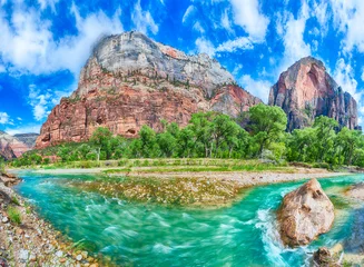 Foto op Plexiglas Panorama of Zion National Park © Fyle