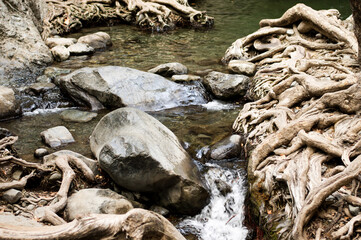 stones in a flowing stream, close up, nature in the mountains