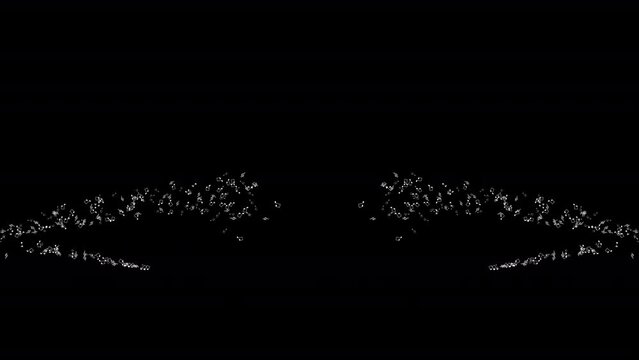 musical notes, fly out and scatter, animation on a transparent background with an alpha channel