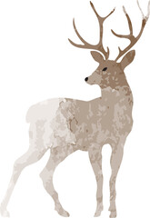deer watercolor illustration