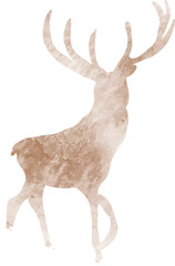 deer watercolor illustration
