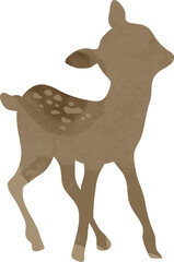 deer watercolor illustration