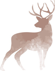 deer watercolor illustration