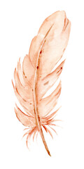 Bird feather, watercolor boho illustration. Hand drawn. Suitable for poster design, print, sublimation.