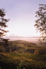 Foto auf Glas Sunset over wine country © Tobias