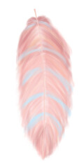 Pink blue pastel feather wing hand drawn watercolor boho style.