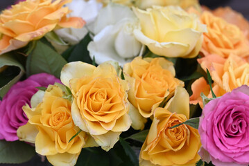 Roses in a variety of mixed colours.