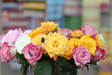Roses in a variety of mixed colours.