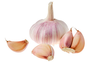 Obraz premium Fresh garlic isolated on white