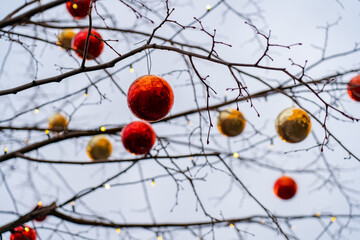 Red,golden balls hanging on trees. bare tree without leaves is decorated with Christmas yellow and red balls against background of clear sky