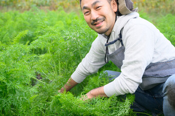 人参畑で農業をする男性　カメラ目線