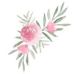 Dusty pink peony roses with green leaves bouquet arrangement isolated on white background. Elegant hand-painted watercolor floral design clipart for gift cards, fabric, banners, headers, invitations