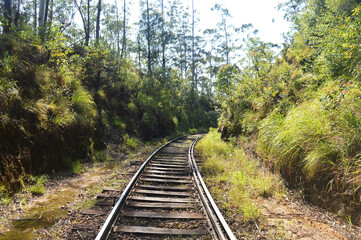View of the railway and green of forest  in upcountry sri lanka.