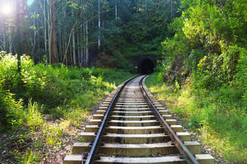 Blick auf die Eisenbahn und das Grün des Waldes in Kandy, Sri Lanka.