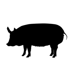 Pig Silhouette