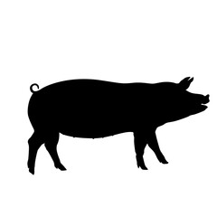 Pig Silhouette