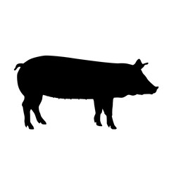Pig Silhouette