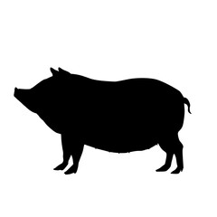 Pig Silhouette
