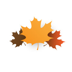 Brown and Golden Autumn Fallen Maple Tree Leaves on White Background - Design Template