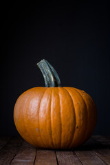 Haloween pumpkin in studio black background