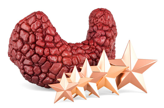 Thyroid gland with five golden stars. 3D rendering