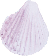 shell in the holiday summer watercolor hand painted