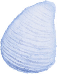 shell in the holiday summer watercolor hand painted