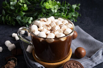 Hot oatmeal cocoa with marshmallow and chocolate chip cookies and sweets. Horizontal orientation