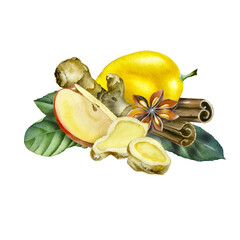 Hand Drawn Ginger watercolor sketch. Illustration For Food Design.