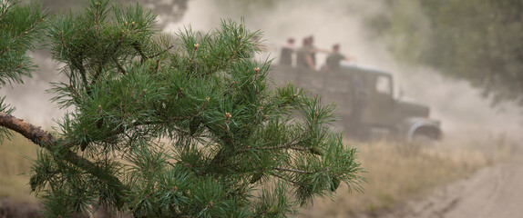 MILITARY VEHICLE ON BACKGROUND OF PINE BRANCHES - Old Russian truck at the shows of military...
