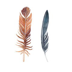 Watercolor hand drawn couple of bird feathers black and brown isolated 