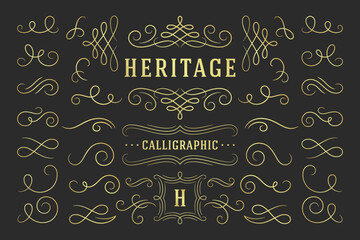 Calligraphic design elements vintage ornaments swirls and scrolls ornate decorations vector design elements