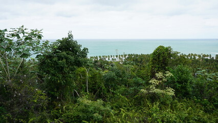 the view from the Mirador Mi Paraiso in Las Terrenas in the province of the Samana Peninsula in the Dominican Republic in the month of February 2022