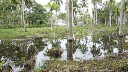 flooding after a heavy rain shower in Las Terrenas in the province of the Samana Peninsula in the...