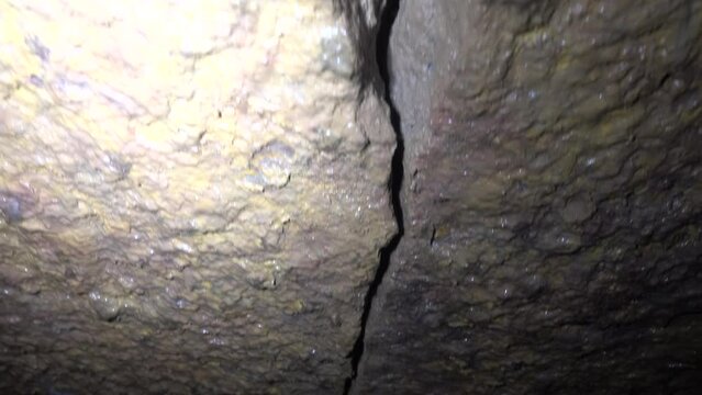 Hiking of spelunkers in the old limestone galleries (adit), underground inhabitants