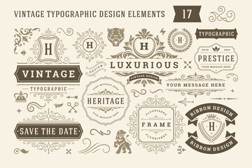 Vintage typographic design elements set vector illustration.