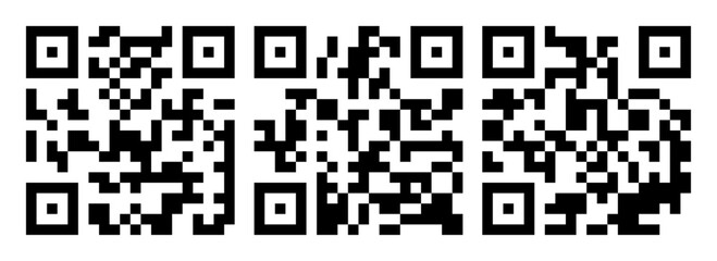 Vector QR code