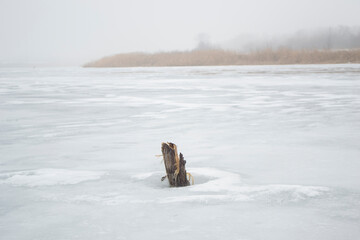 a thin small stump sticking out of a frozen river