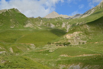 Fototapeta na wymiar Summer in the Caucasus Mountains
