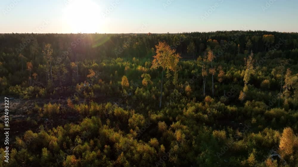Aufkleber rotating aerial view of reforested part of forest after destruction, preventing global warming conce