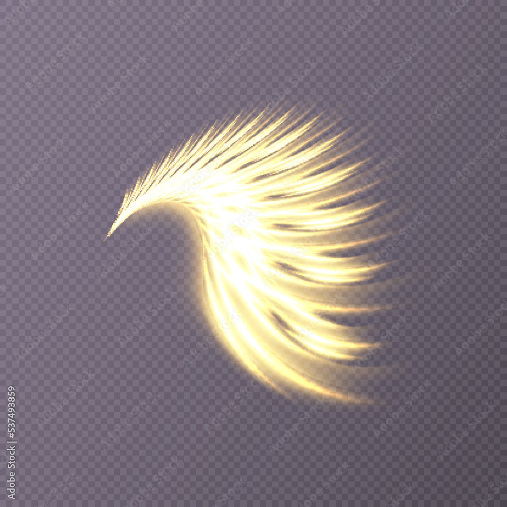 Poster abstract light curve shape phoenix wing light effect style png pictures can be used in graphic desig