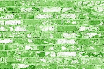 Brick wall with unusual green bricks