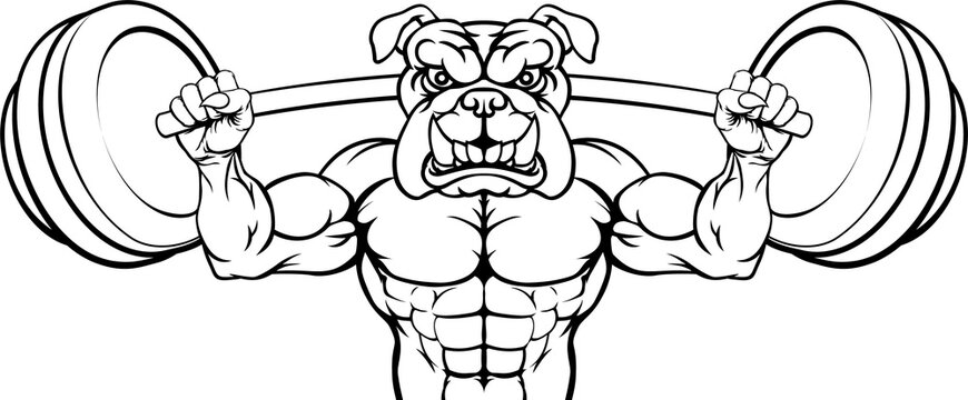 Bulldog Mascot Weight Lifting Body Builder
