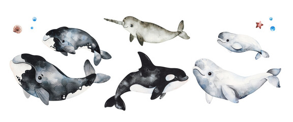 Watercolor  winter collection with whales, narwhal and beluga.Isolated animals.Perfect for invitation,wallpaper,print,textile,holiday,patterns,scrapbooking,packaging etc