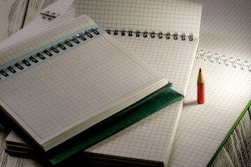 Opened blank notepads with checkered loose-leaf papers