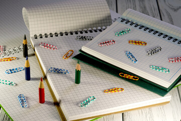 Opened blank notepads with checkered loose-leaf papers