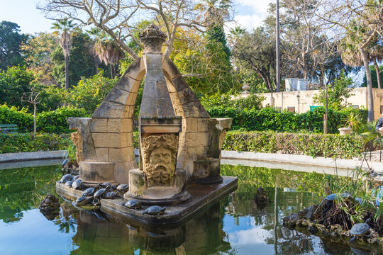 Turtles on a sculpture in the middle of a pond at the San Anton Gardens, a public garden in Attard, Malta.
