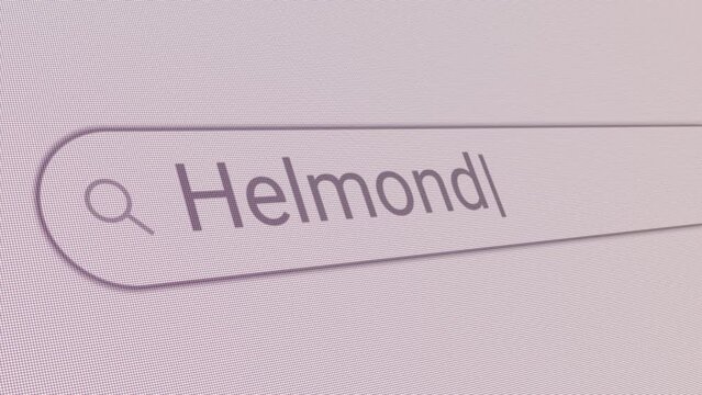 Search Bar Helmond 
Close Up Single Line Typing Text Box Layout Web Database Browser Engine Concept