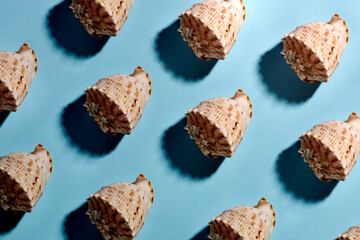 Seashell pattern on a blue background, close-up