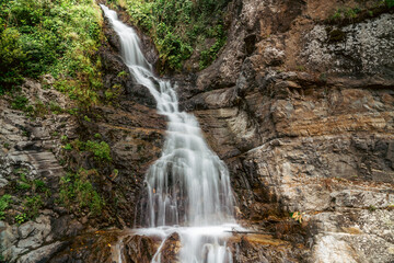 Obraz premium A stunning view of a waterfall in a green forest.